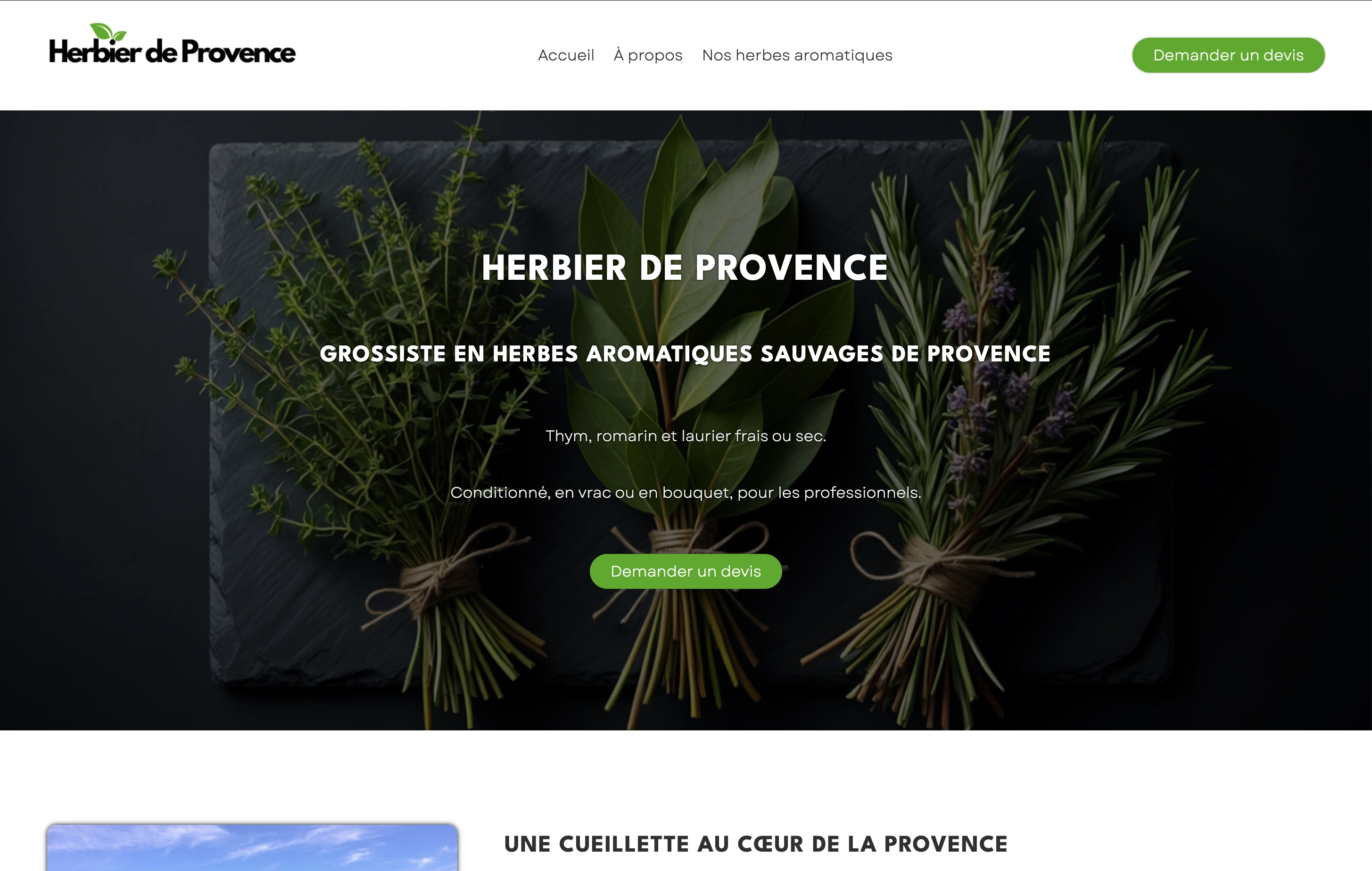 Herbier Provence